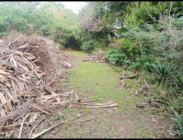 FARM FOR SALE IN RAMSGATE